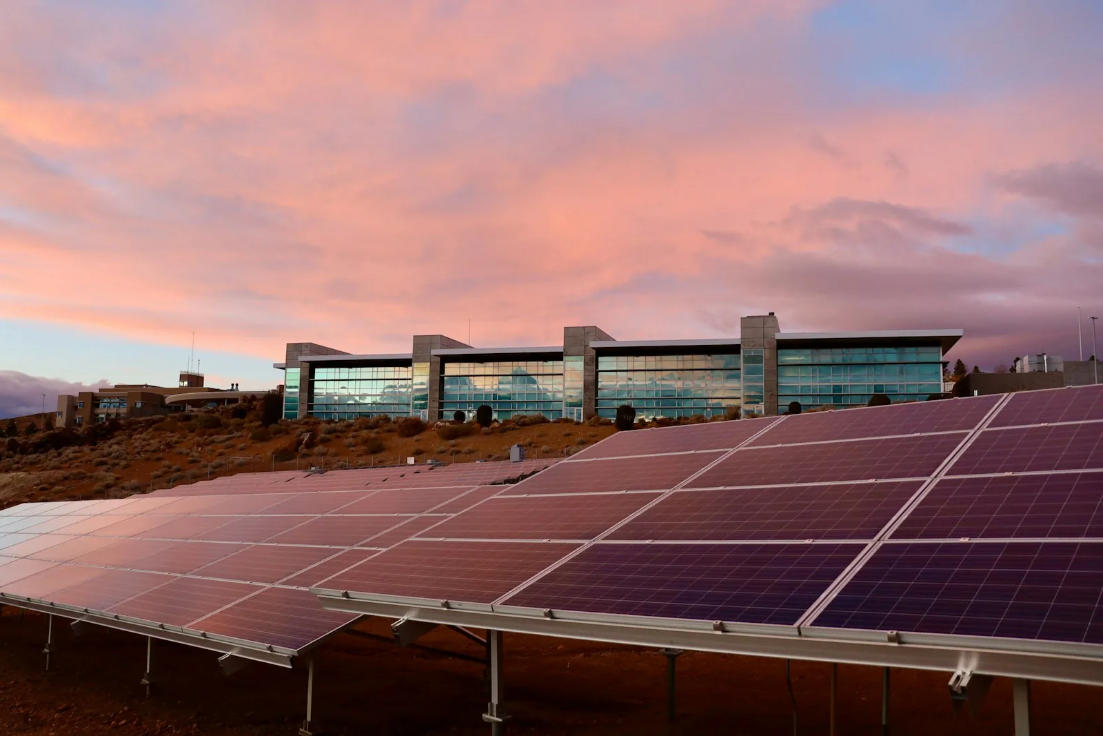 Zonnepanelen onder een roze avondlucht
